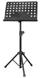ZENN MS20